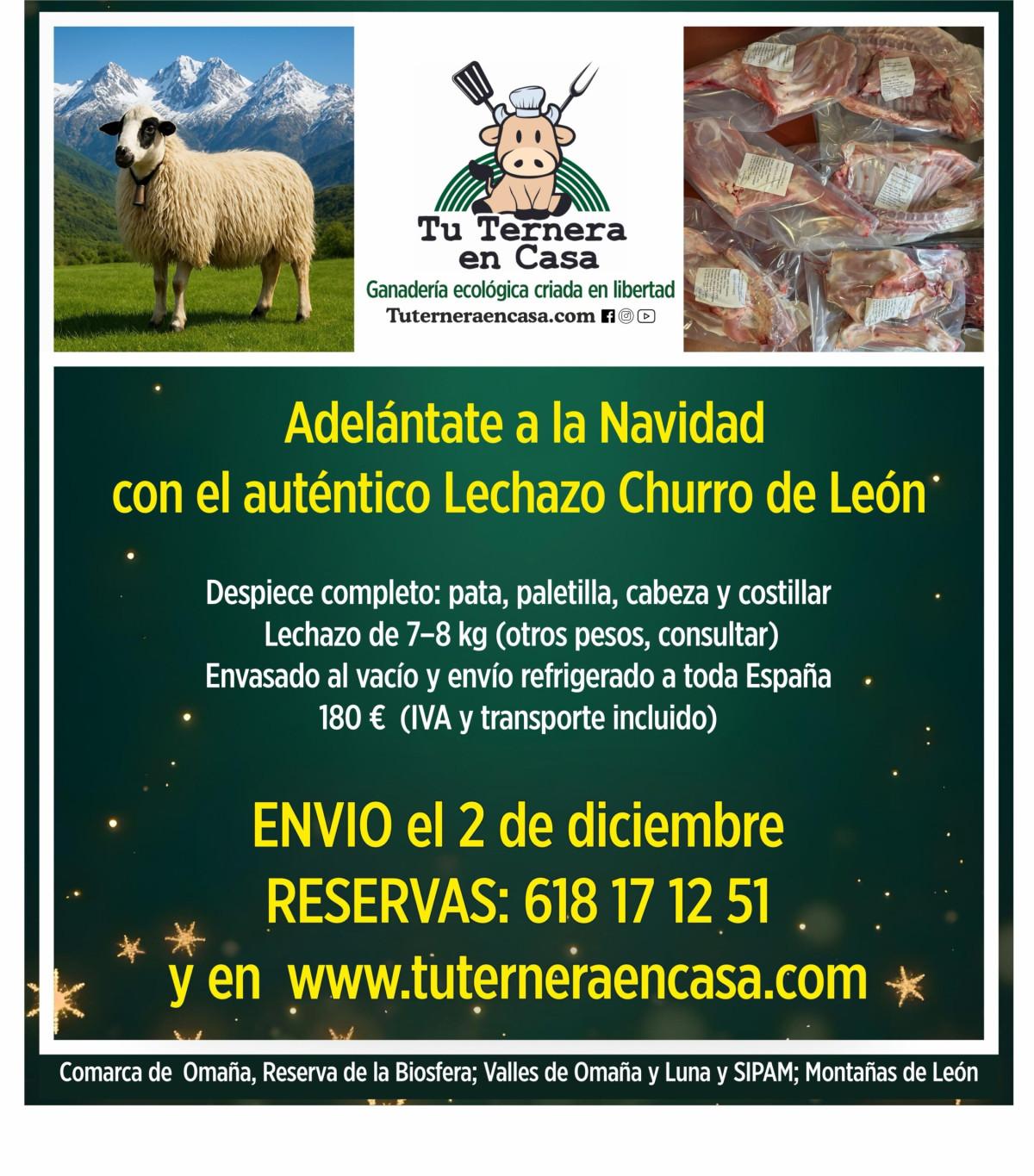 Lechazo de León
