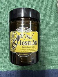 Miel Joselón Montaña Leonesa 450gr