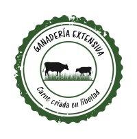 Lasaña de Ternera Ecológica con Verduras