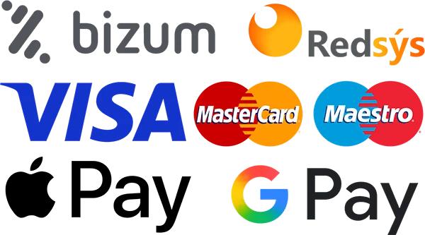 Logos paypal visa mastercard maestro redsys footer