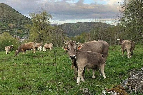Reconocimiento al compromiso con el territorio