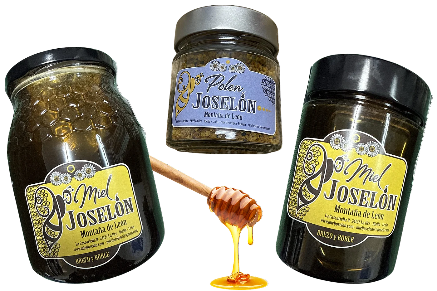 Tarro de miel de la montaña leonesa Joselón con flores de manzanilla